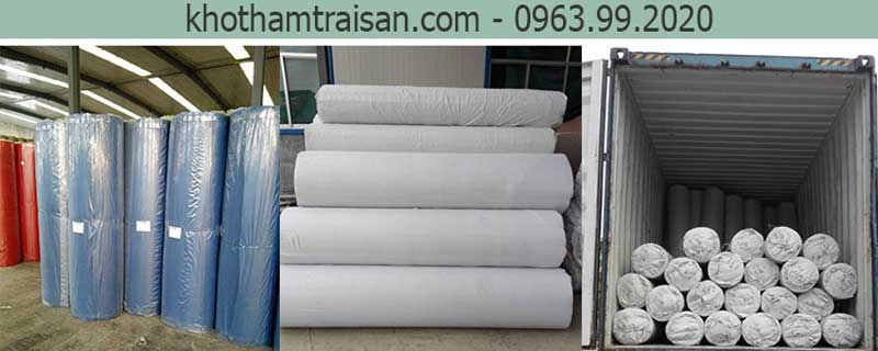 Kho thảm nỉ trải sự kiện 